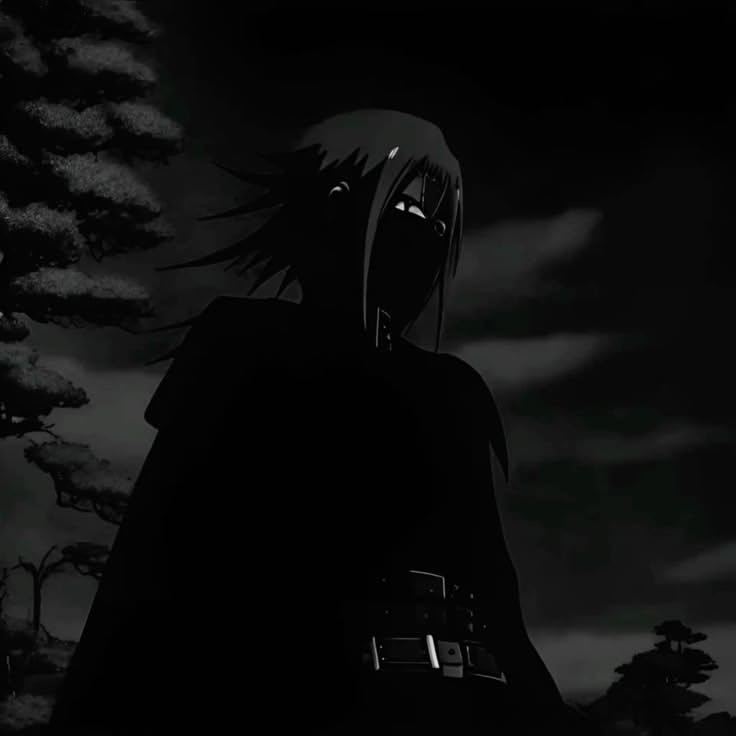 Soke profile picture